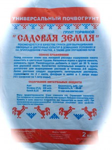 IMG_1258-1